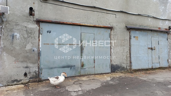 Бокс