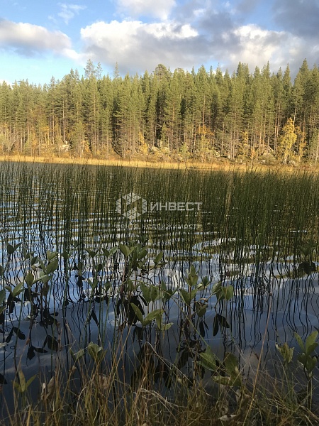 Участок , 15 сот. Участок , 15 сот.