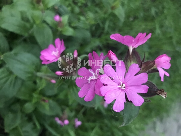Аренда недвижимости, квартира