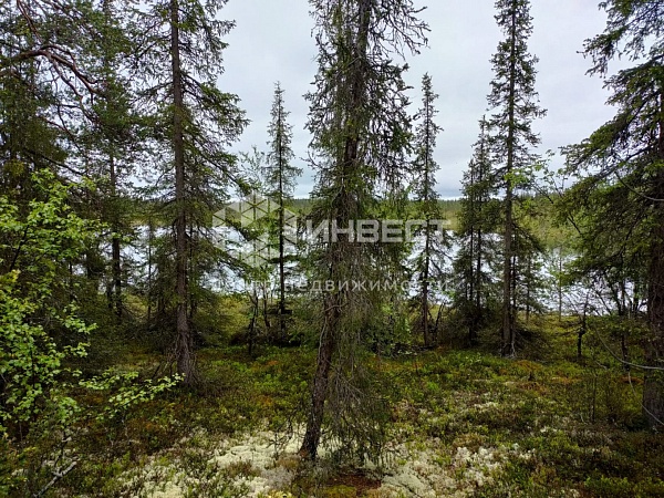 Участок , 15 сот. Участок , 15 сот.