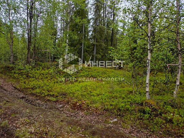 Участок , 15 сот. Участок , 15 сот.