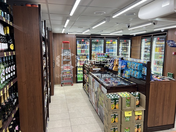 Помещения свободного назначения, 231 кв.м.