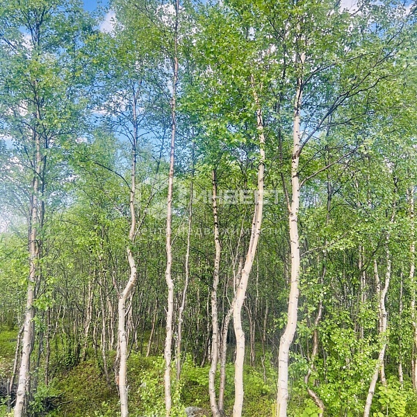 Дом, 104 кв.м.